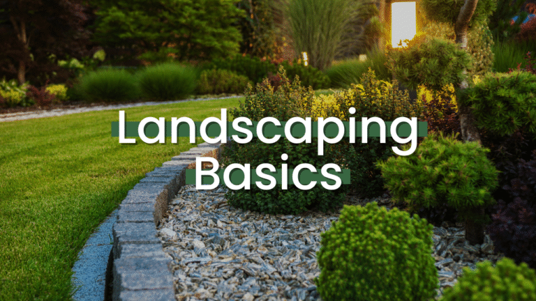 Landscaping Basics Featured Image