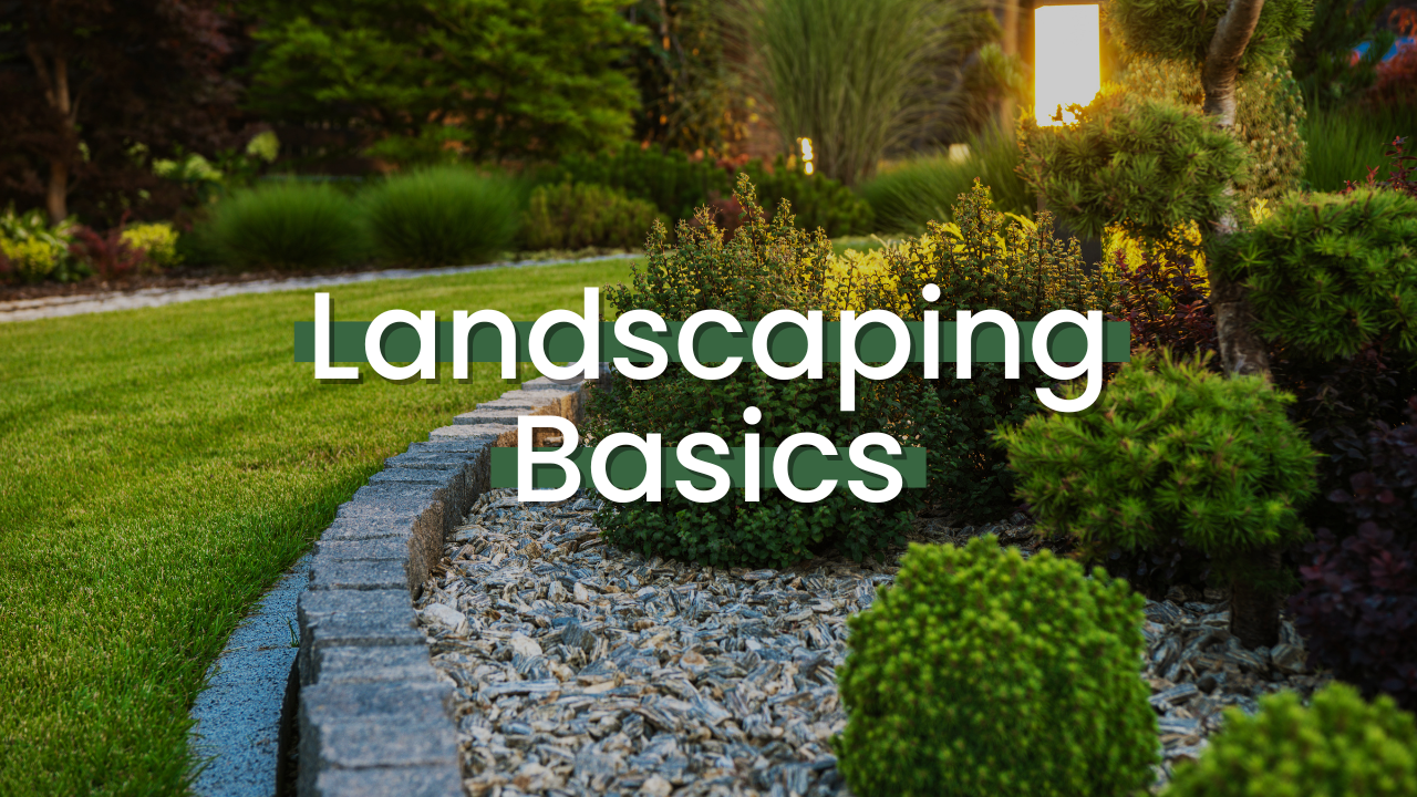 Landscaping Basics