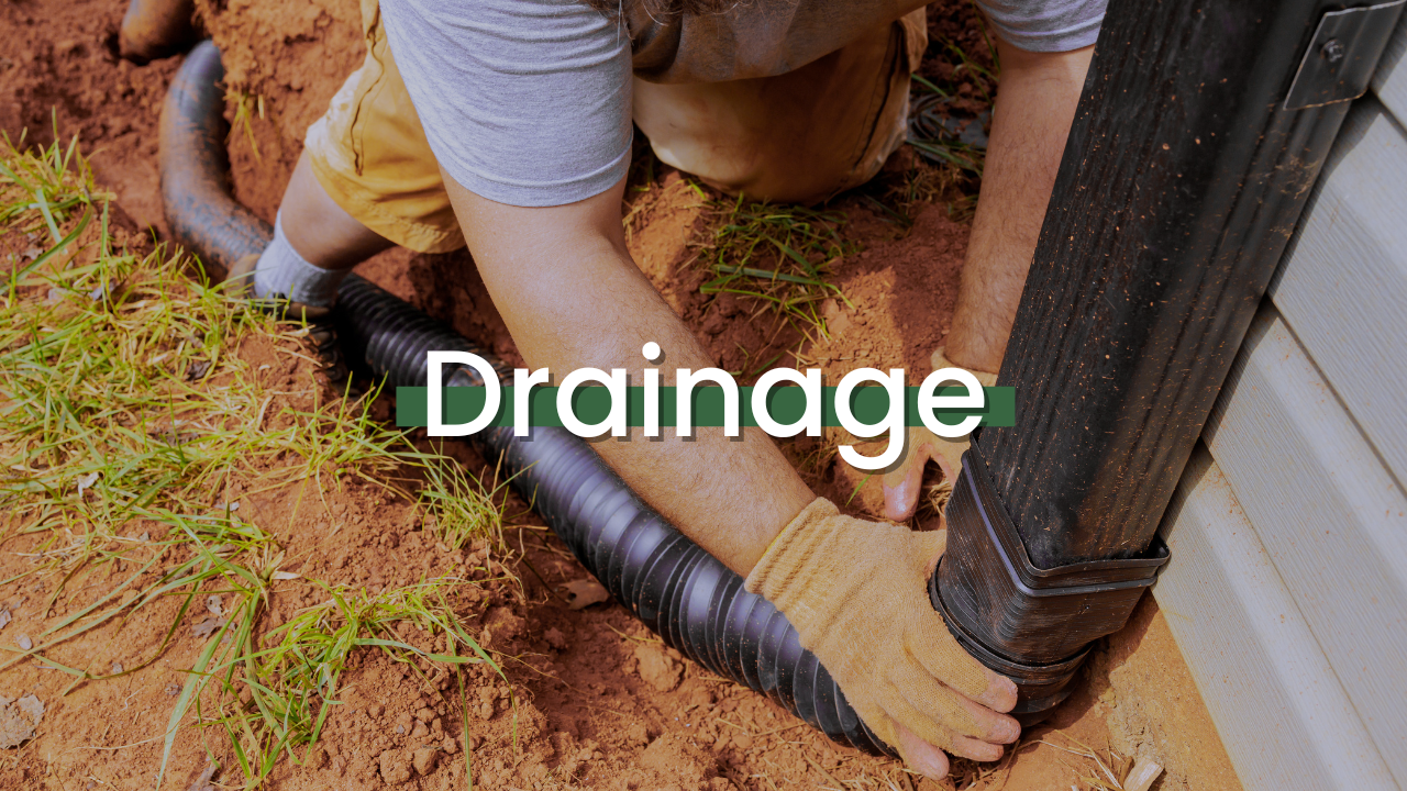 Drainage Featured Image