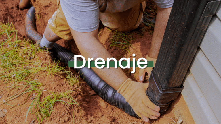 Drenaje Imagen destacada