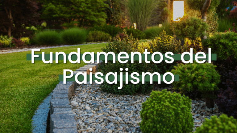 Fundamentos del Paisajismo Imagen destacada