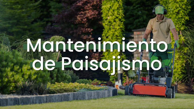 Mantenimiento de Paisajismo Imagen destacada