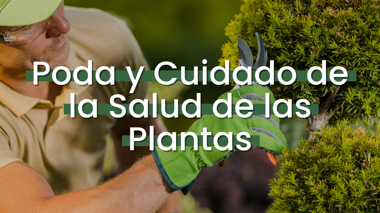 Poda y Cuidado de la Salud de las Plantas